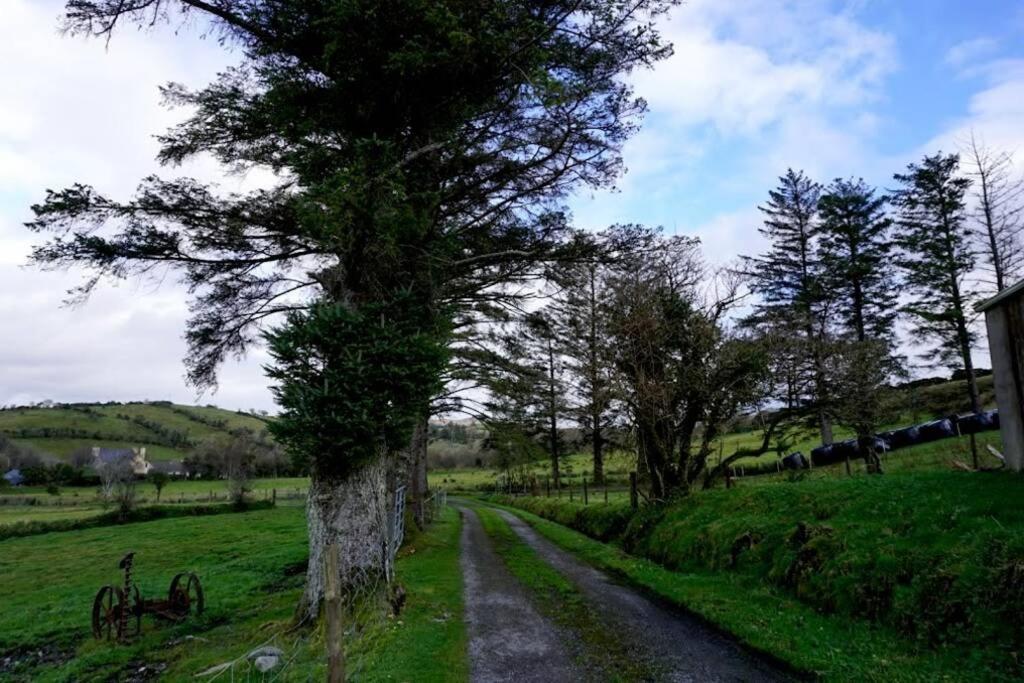 Meenadreen Cottage Donegal Town ภายนอก รูปภาพ