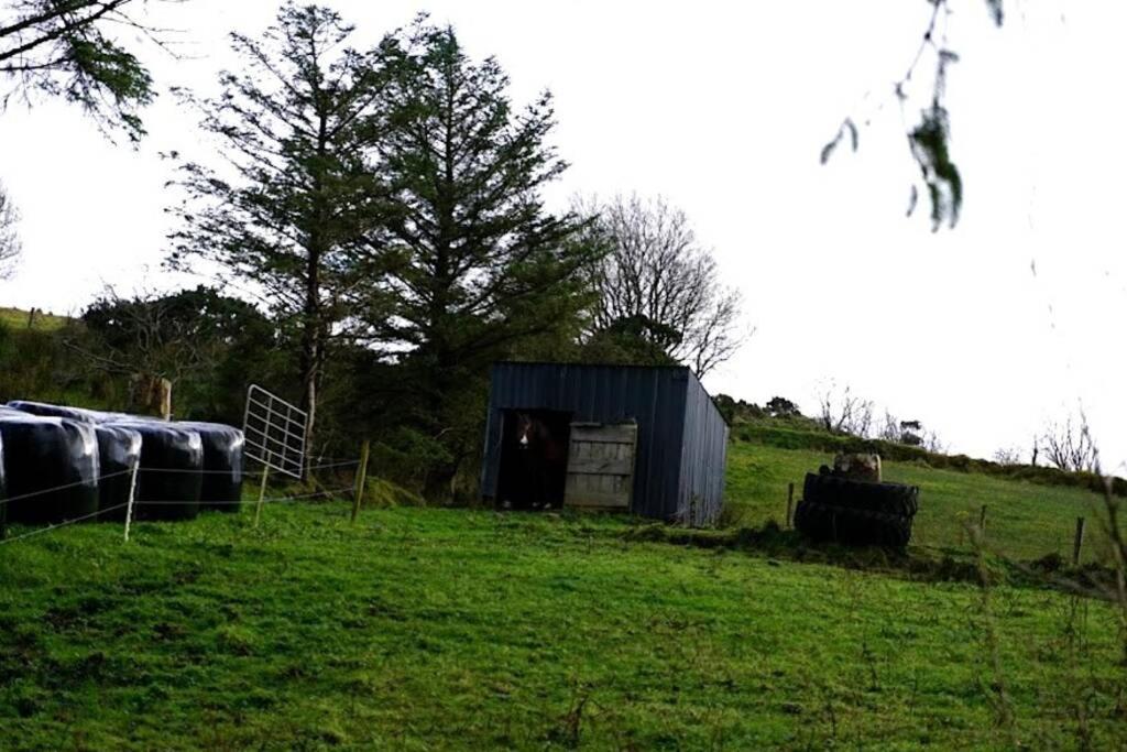 Meenadreen Cottage Donegal Town ภายนอก รูปภาพ