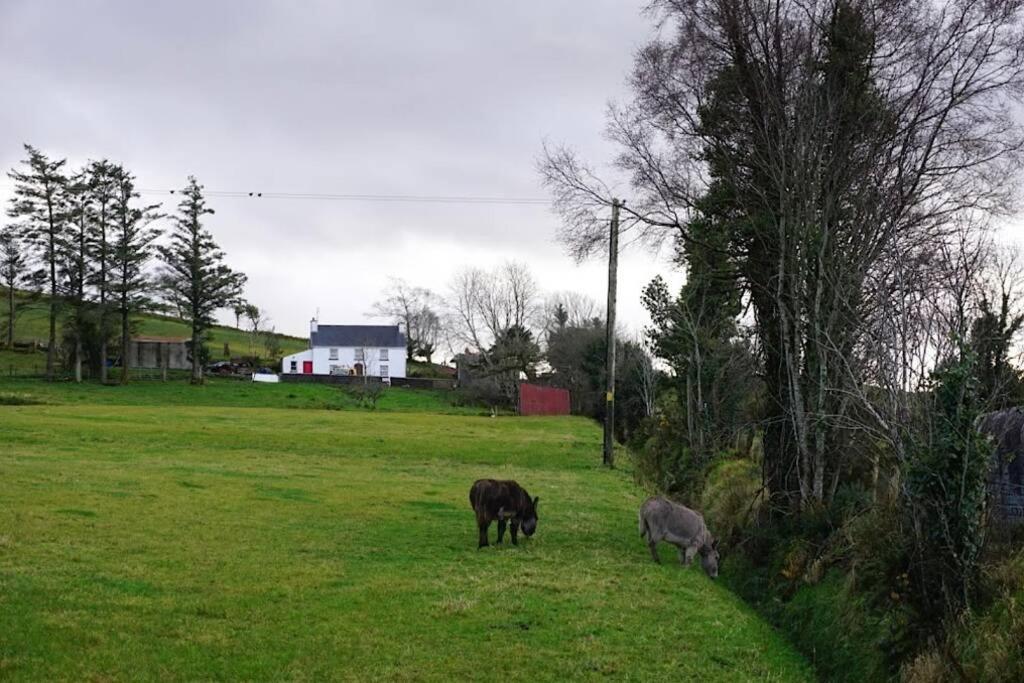 Meenadreen Cottage Donegal Town ภายนอก รูปภาพ